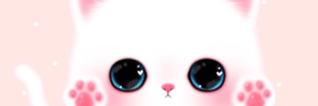 dinnidevi's profile banner image
