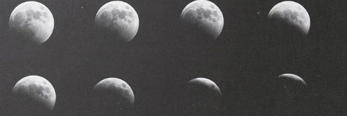 peppllplll's profile banner image