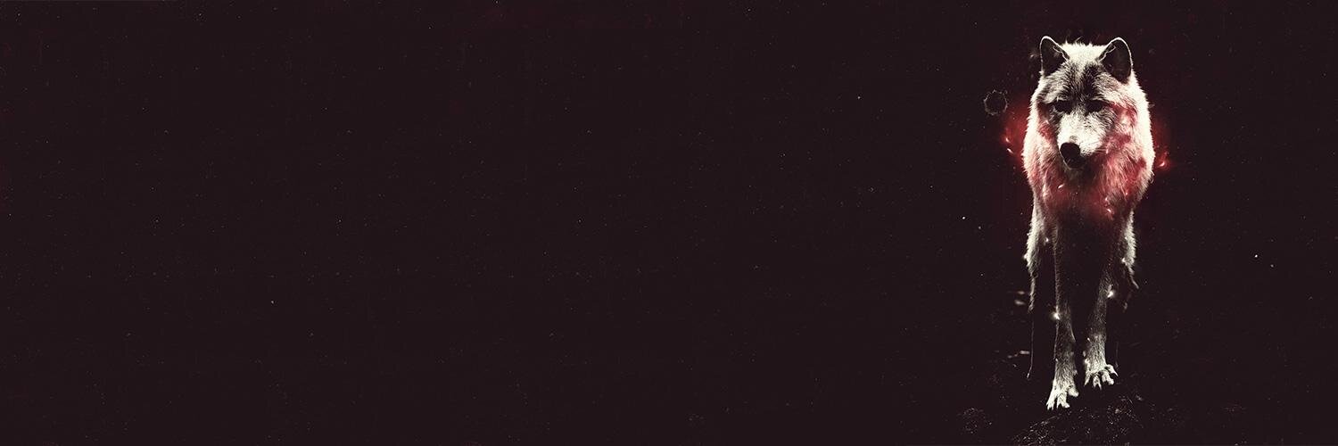 Jacopo Marcantonio banner