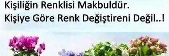 seda_kaygi's profile banner image