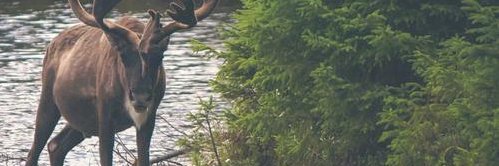 janblight7's profile banner image