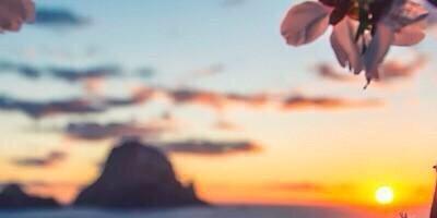 pocah_d's profile banner image