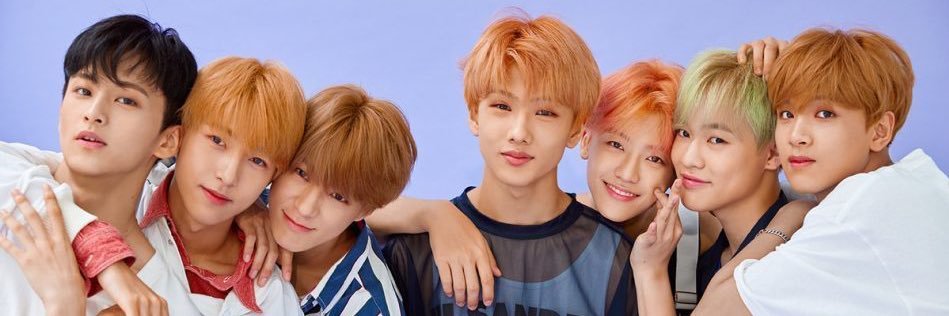 maple_lees's profile banner image