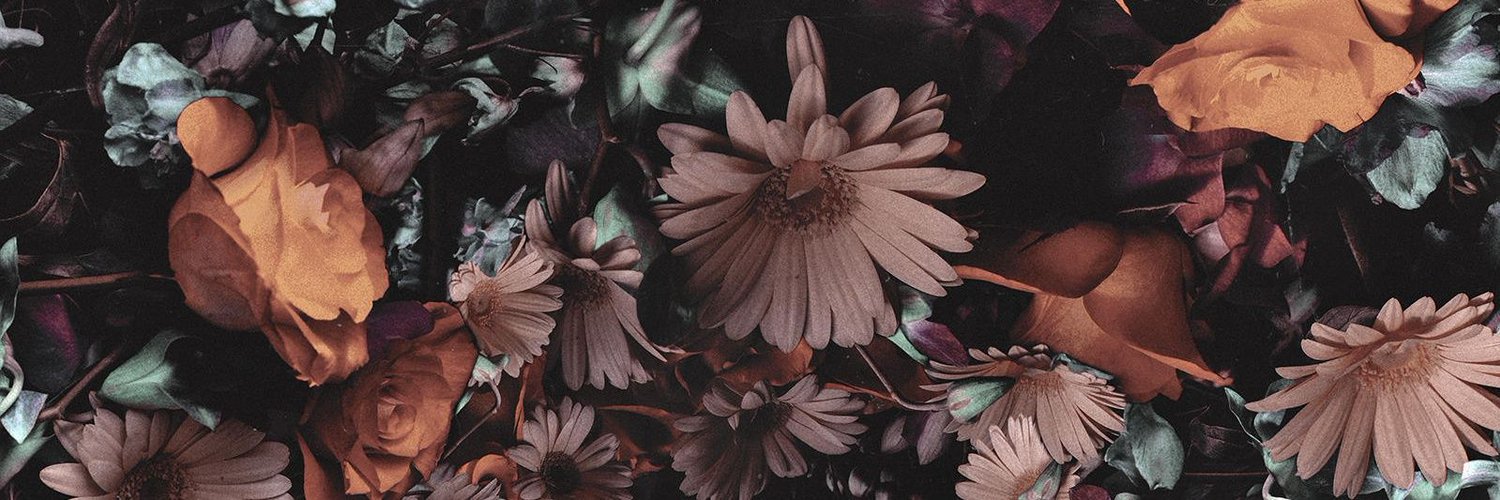 Timots_Wang's profile banner image