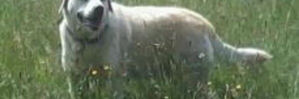 BrianClarkMbe Profile Banner