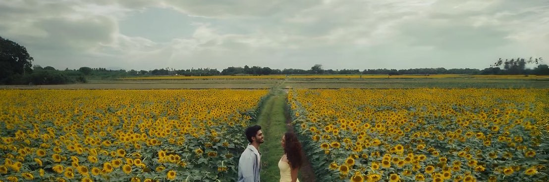 vbuuu_'s profile banner image