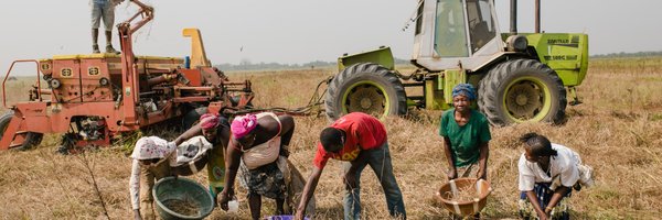 bebelm22 Profile Banner