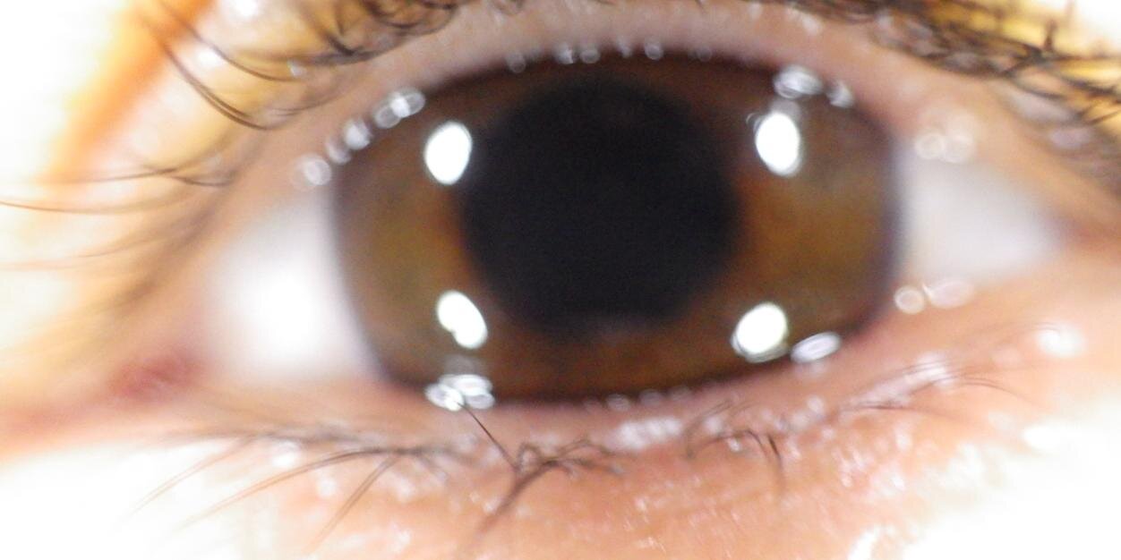 Marina Asvachin banner