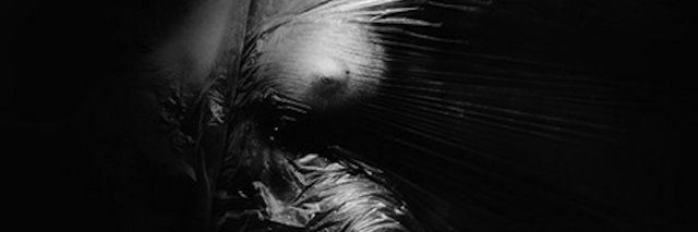 Dillon_981's profile banner image