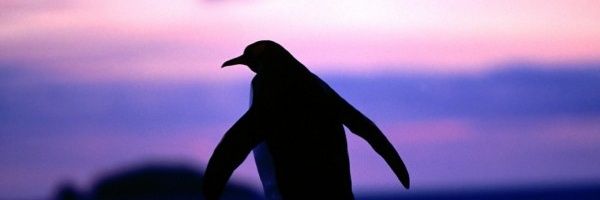 Guilleee_3's profile banner image