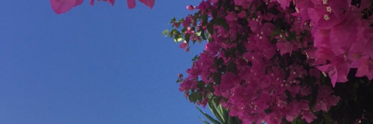 lspancho's profile banner image