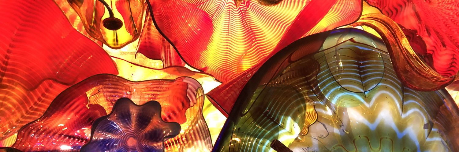 Carol Lucarelli banner