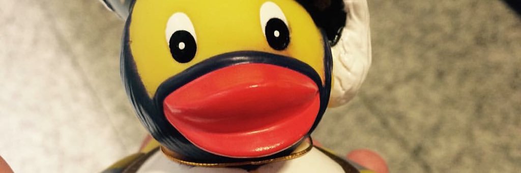 HevtheDuck's profile banner image