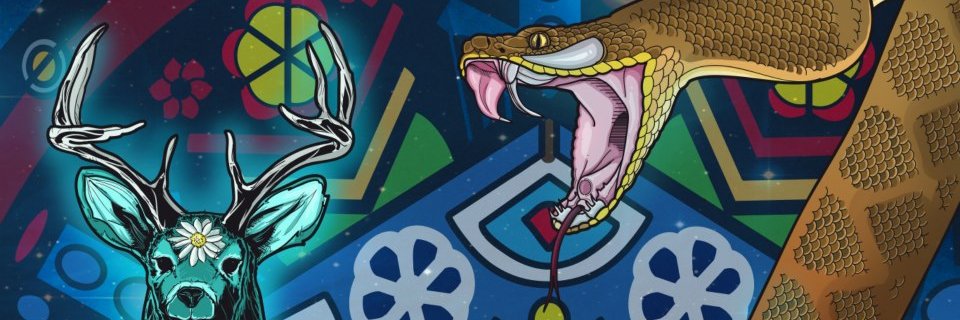 kachesaucedo's profile banner image
