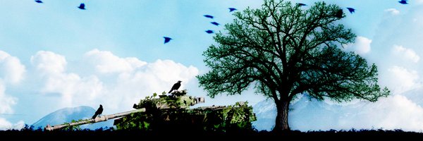 obsarm Profile Banner