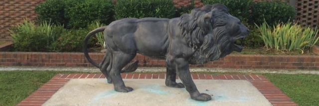 Holly Sutherland 🦁 banner