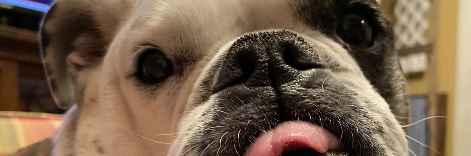 brownICEallstar's profile banner image