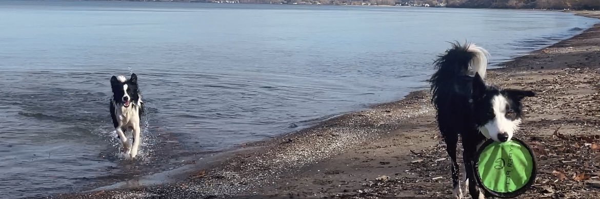 lexicombs1's profile banner image