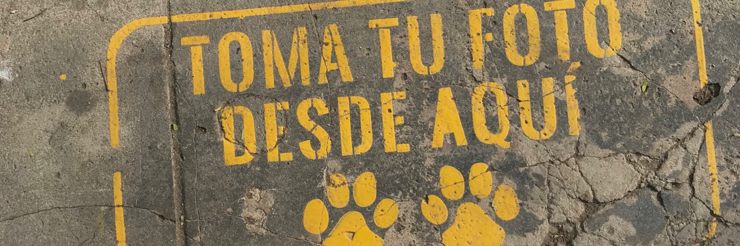 MariaJoseC93's profile banner image