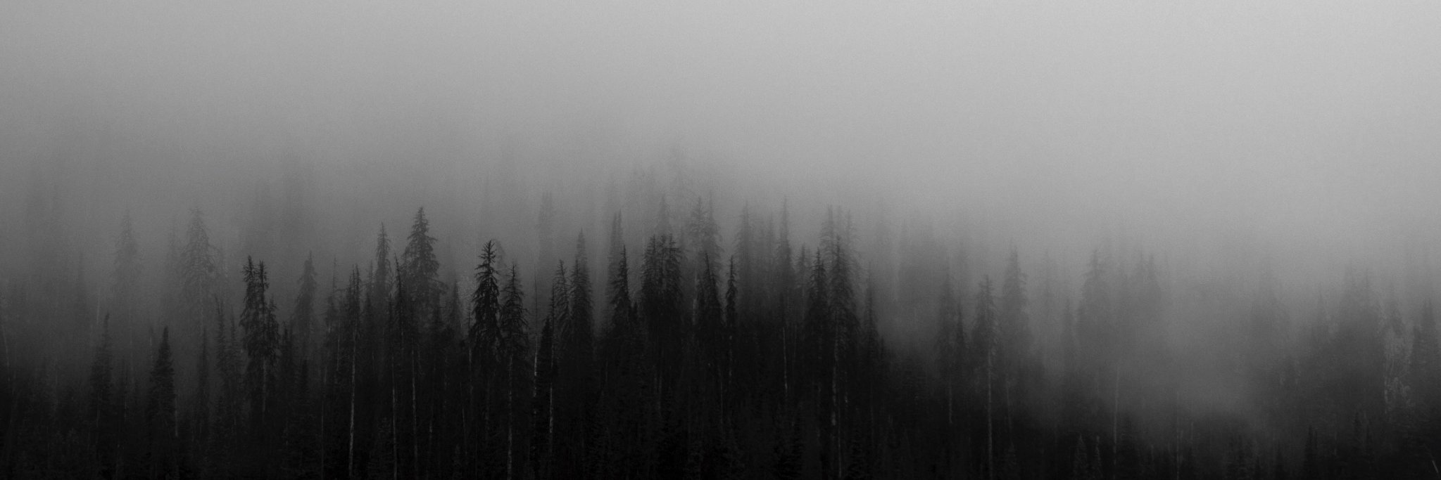 BecomingBeaBlog's profile banner image