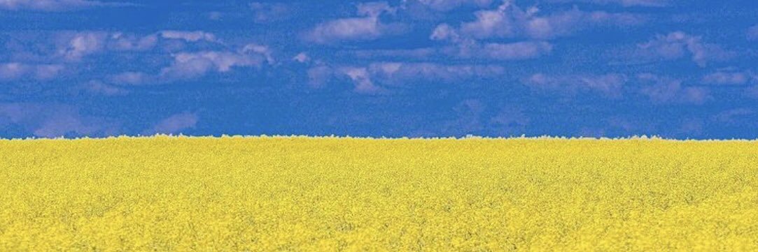 GoetzHP's profile banner image