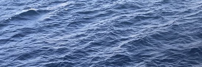 tglezc's profile banner image