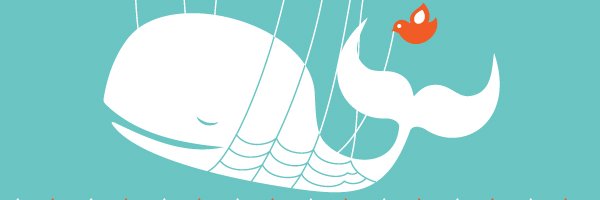 小嶋裕一 Yuichi KOJIMA's banner