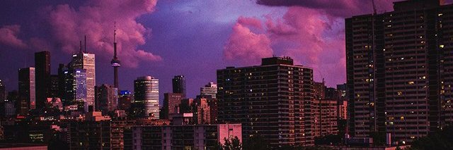 Masha_koro's profile banner image