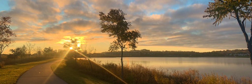 Fatima Farrukh banner