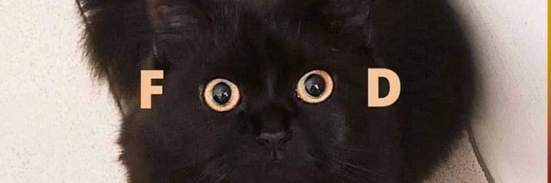 karavaniolankiz's profile banner image