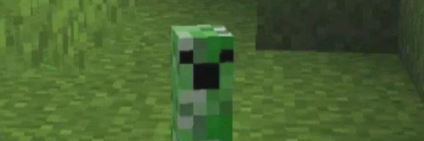 RockoTheRacc Profile Banner