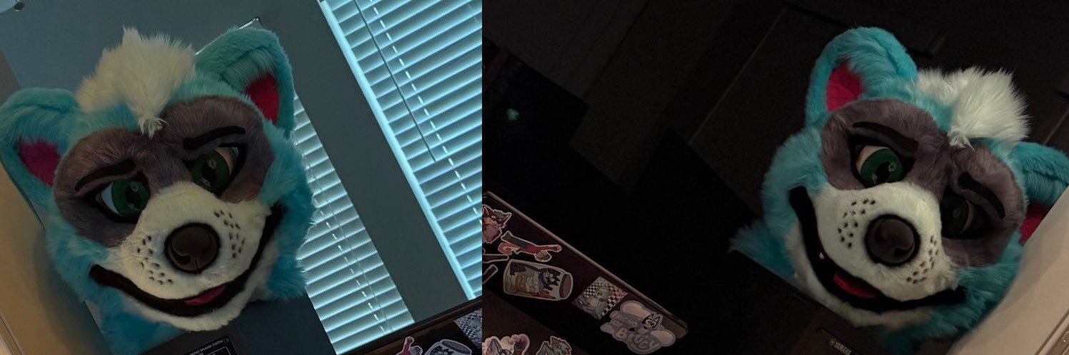RoxanneTheRacc's profile banner image