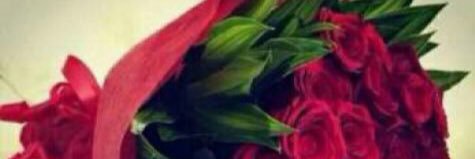 noofAL5's profile banner image