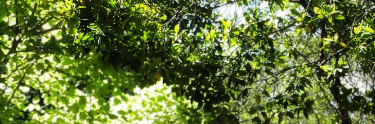 The_Muthy's profile banner image
