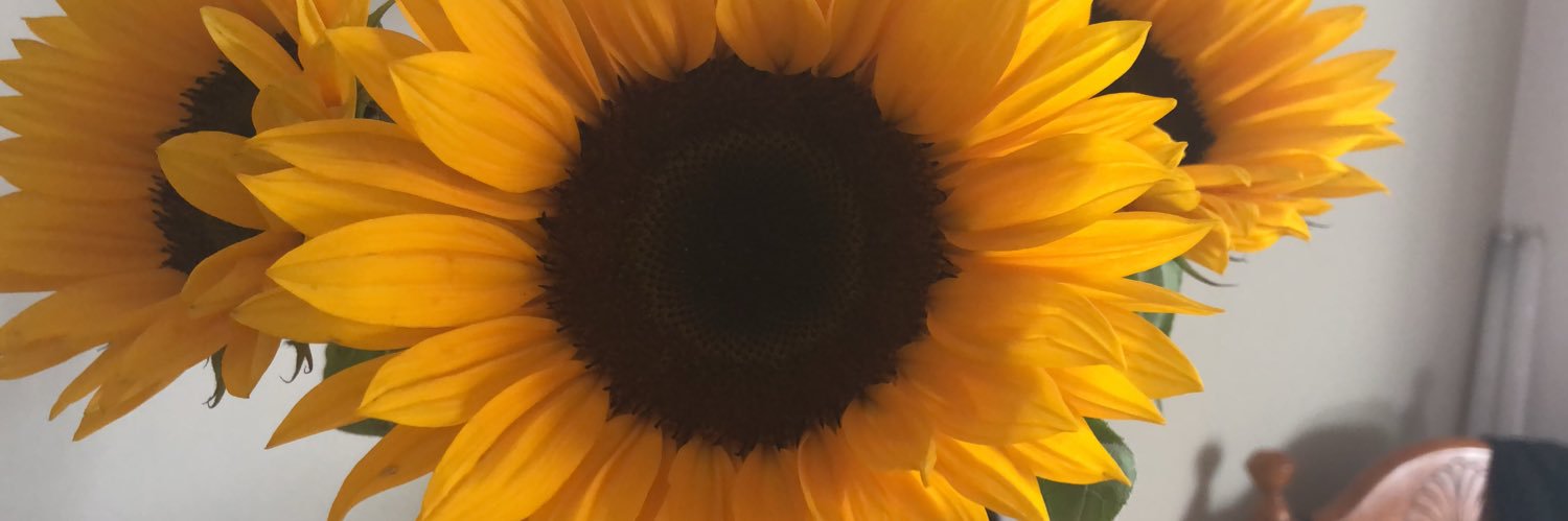 katiesmith_97's profile banner image