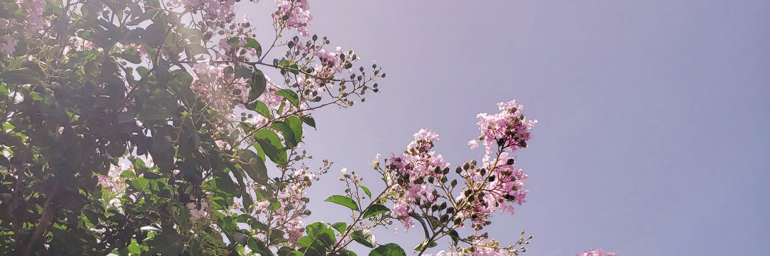 ElenaRae_'s profile banner image