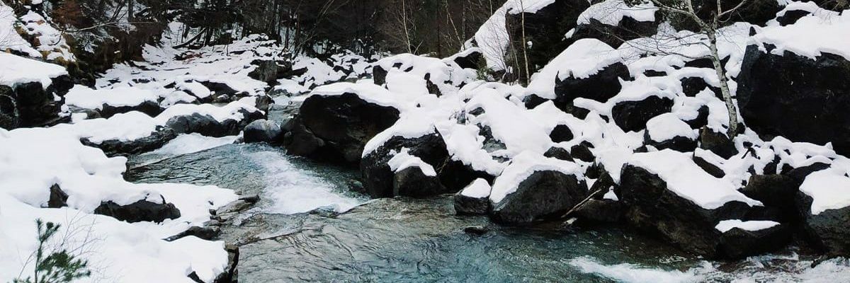 Llisp25's profile banner image