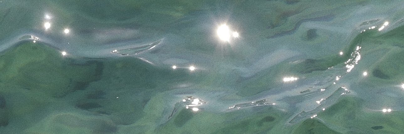 gi_verde_'s profile banner image