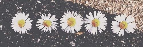 imperfectlexis's profile banner image