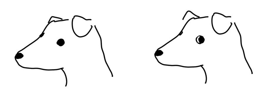 danielafgarm's profile banner image