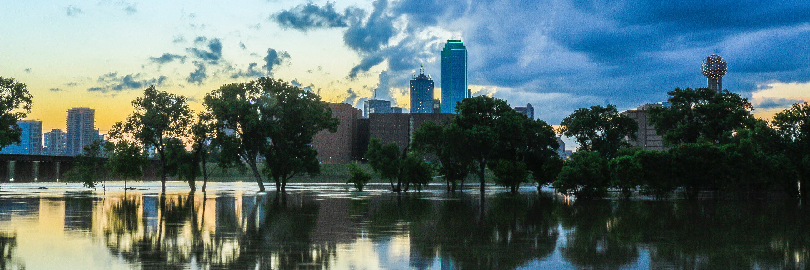 Daniel_Hersh's profile banner image