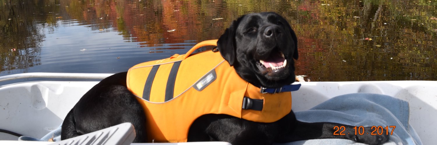 MacBarksBack's profile banner image