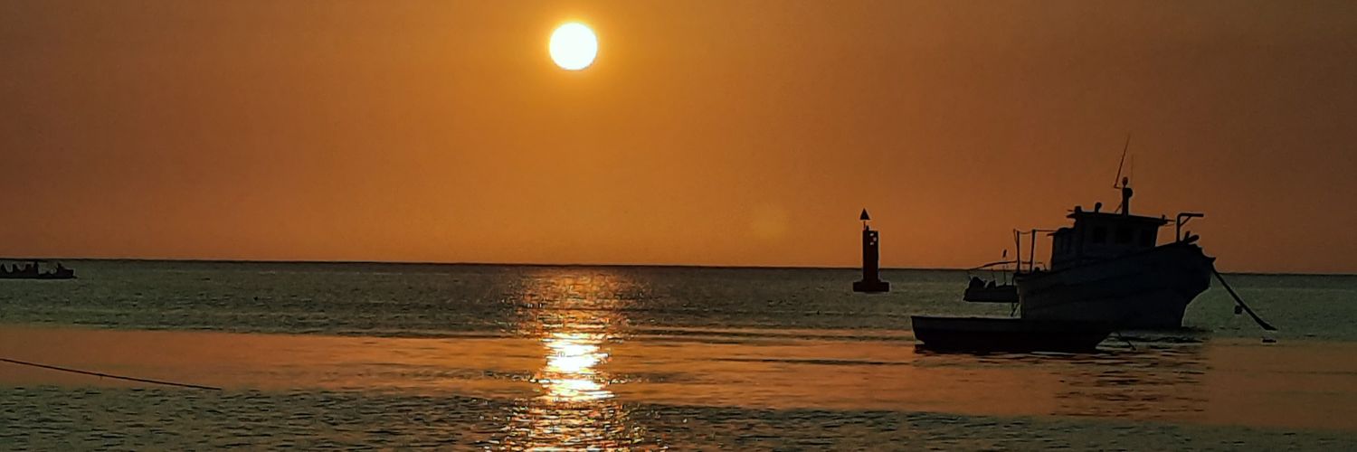margierose02's profile banner image
