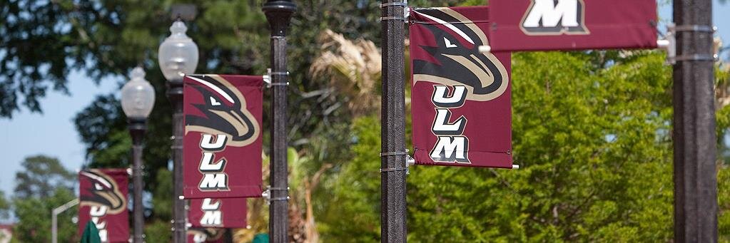 ULMSAAC's profile banner image