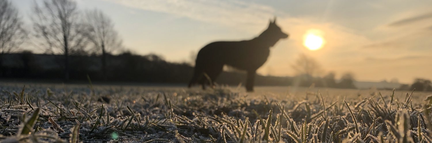 iestllew's profile banner image