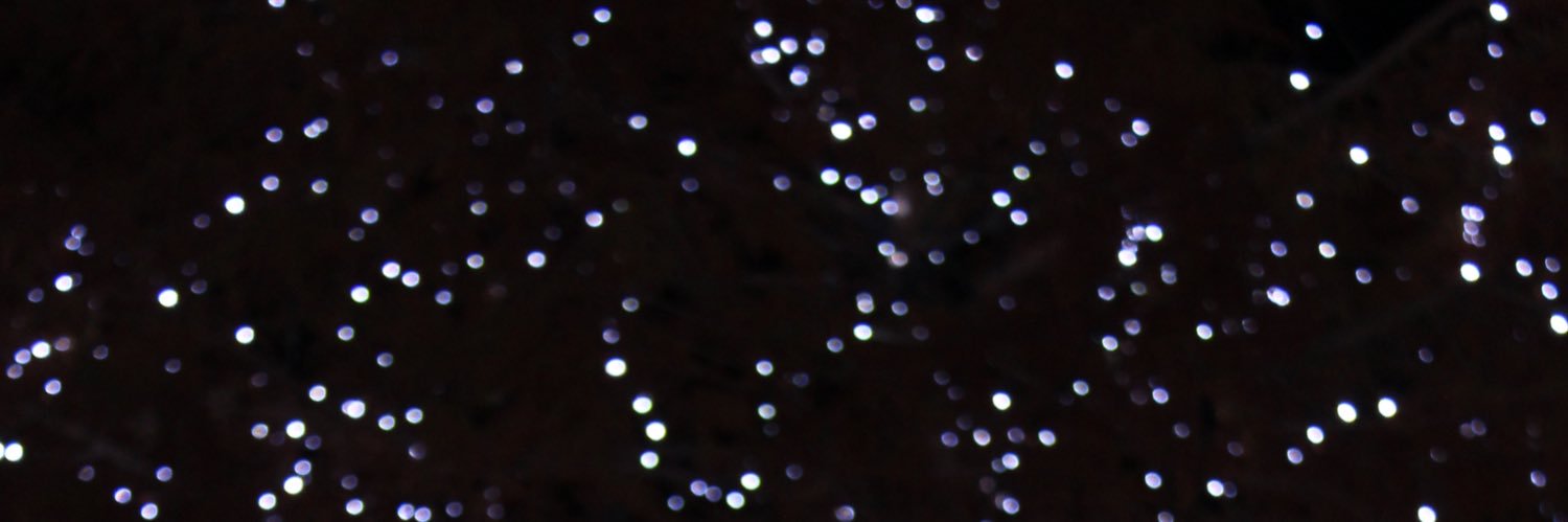 toocooldes's profile banner image