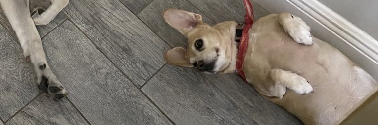 Nicollee25's profile banner image