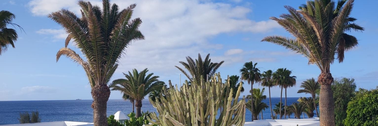 sarabg_99's profile banner image