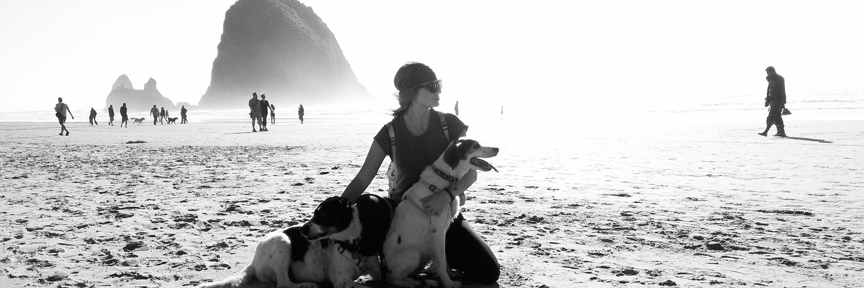 DeniseFaddis's profile banner image