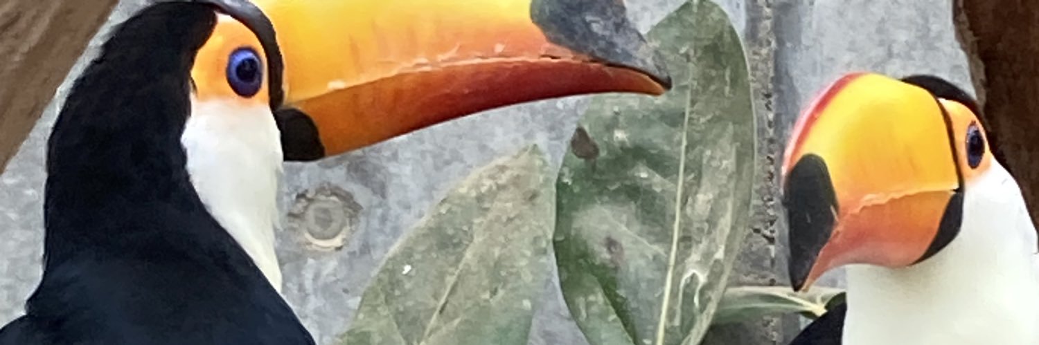 pigumoon's profile banner image